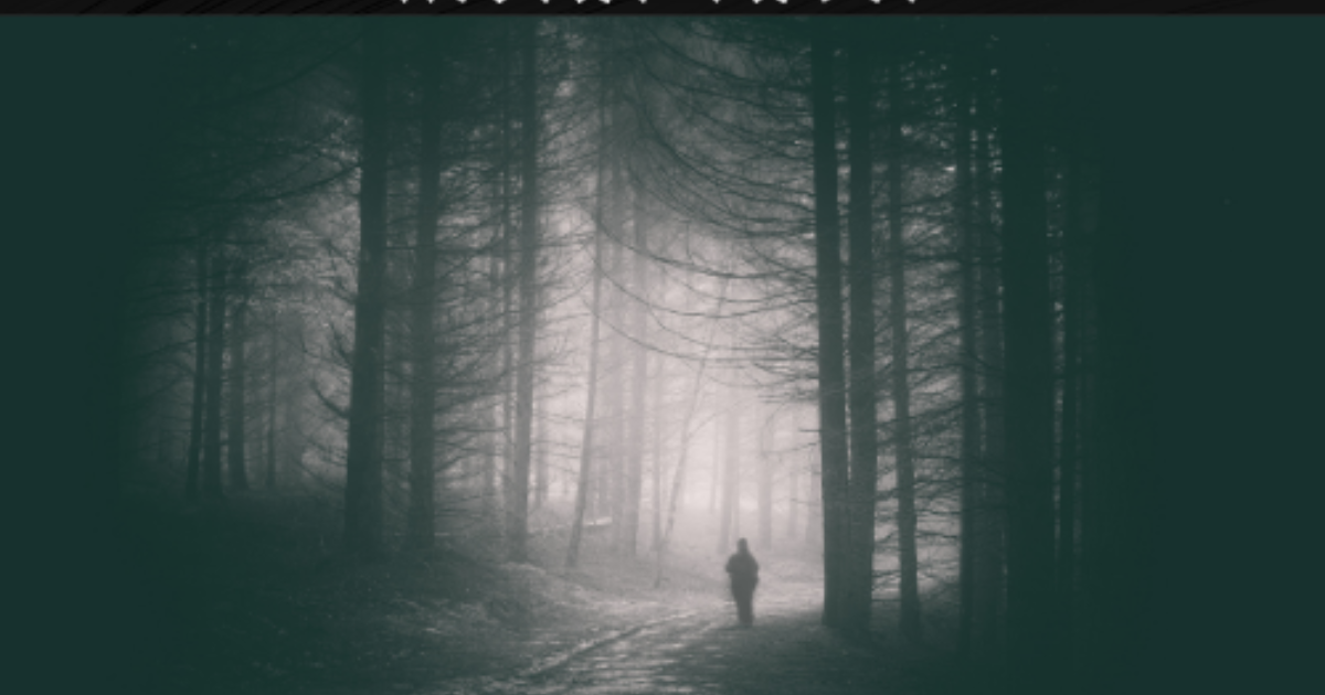 Quindo - Shadowless Light Metal Radio