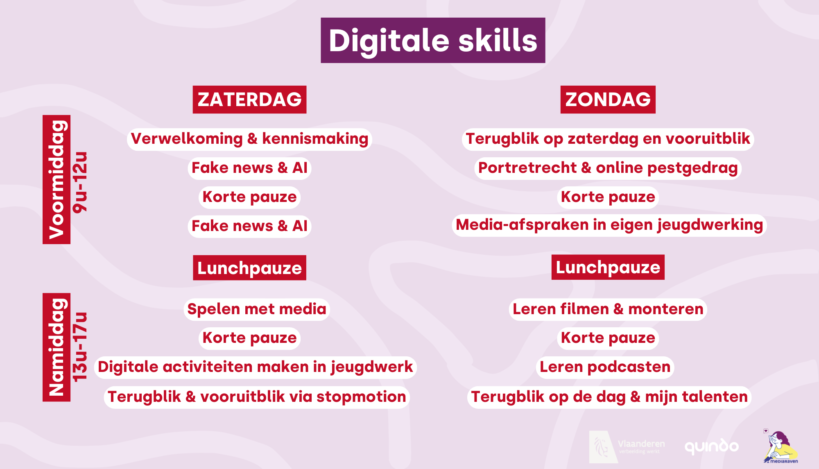 Digitale skills