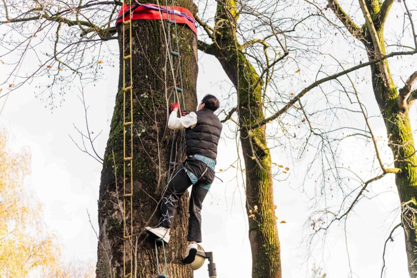 Slackline 4
