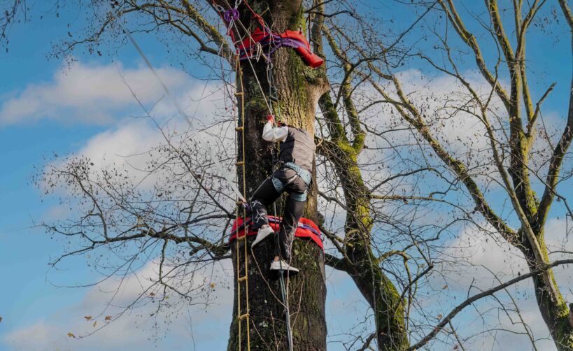Slackline 5